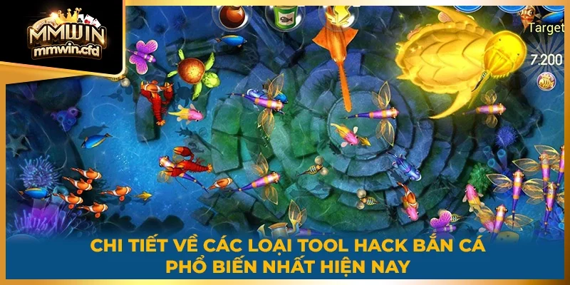 Chi tiết về các loại phần mềm phổ biến nhất hiện nay