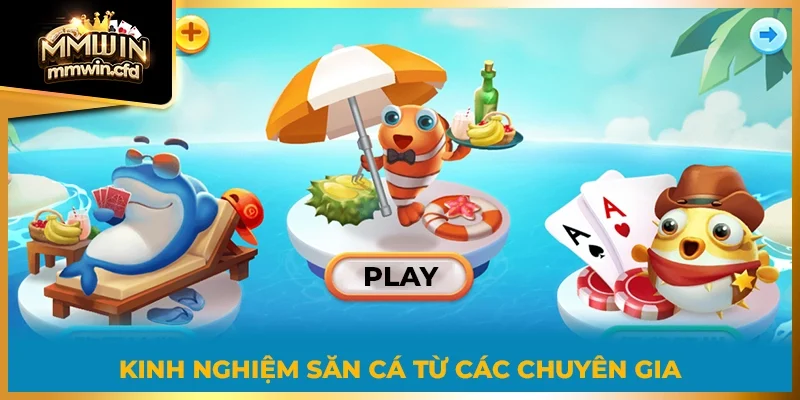 Kinh nghiệm săn cá từ các chuyên gia 2025