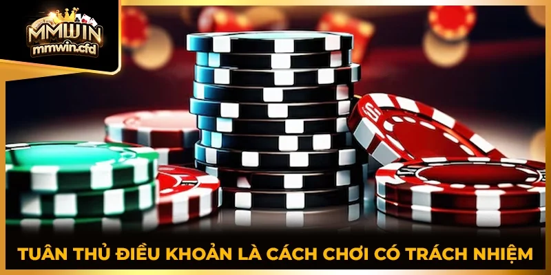 Tuân thủ điều khoản là cách chơi có trách nhiệm